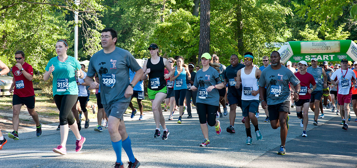 CFA10k5k_SliderImages__0003_Partners-1-